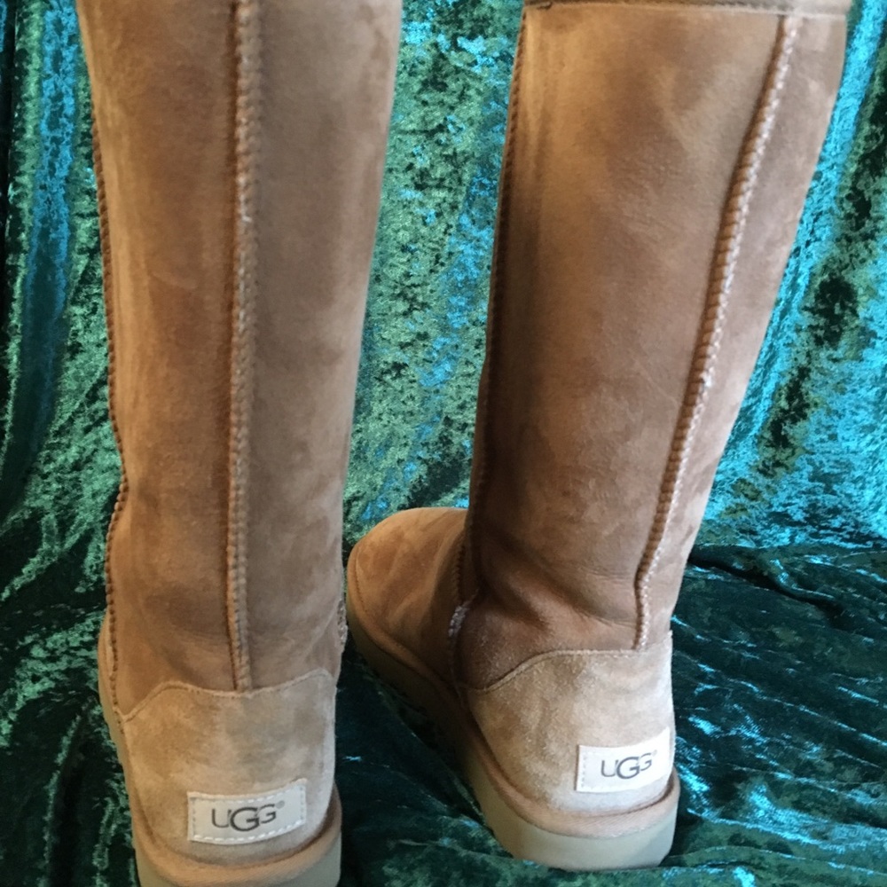 Tall uggs